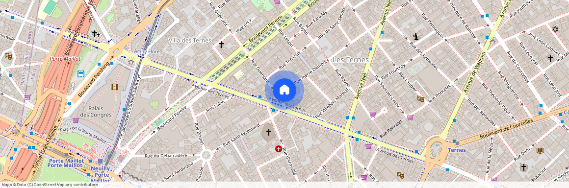 Avenue des Ternes entre Boulevard Pereire et Avenue Niel 75017 Paris (17e arrondissement)