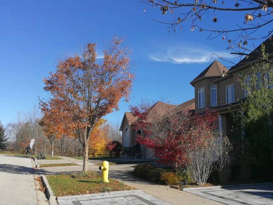 For Lease - 228 Vanda Drive, Vaughan, Ontario - Photo 1