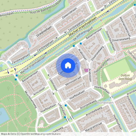 Bohemen en Meer en Bos, 2555 DC, Campanulastraat, Den Haag