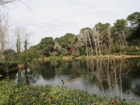 Location Appartement 3 pièces 51m² SIX FOURS LES PLAGES 83140 - Photo 5