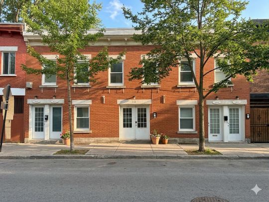 1820 Rue Beaudry, Montréal (Ville-Marie), QC H2L - Photo 1