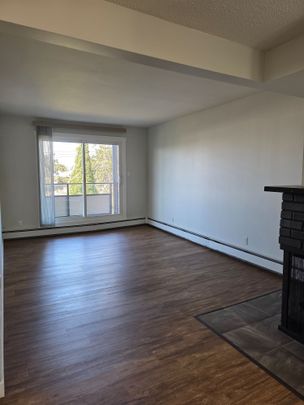 301, 6727-59 Ave, Red Deer, AB - Photo 1