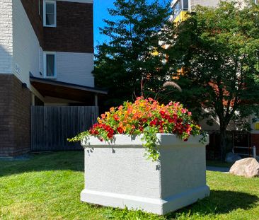 Hasselgatan 61 - Foto 3