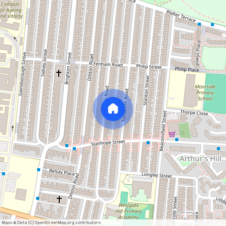 Tamworth Road, Arthurs Hill NE4