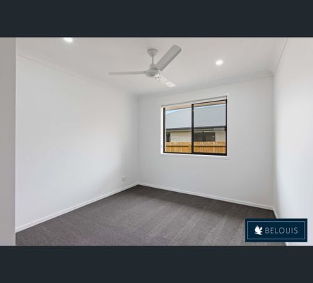 41 Tallowwood Bvd, Cotswold Hills, Qld 4350 - Photo 4