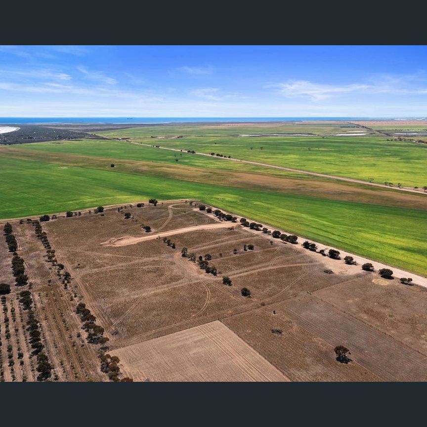 Prime Agricultural Land for Rent with Stunning Views – "Top of the Hill" Estate, Moonta Bay - Photo 1