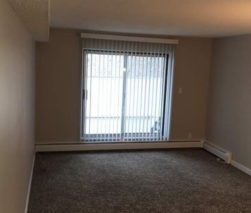 Small Pet Friendly Well Maintained 2 Bedroom Suite - Photo 3