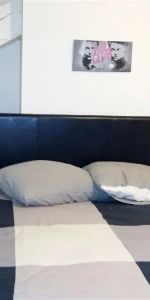 Location appartement 2 pièces - 46m² à La verpillière (38290) - Photo 3