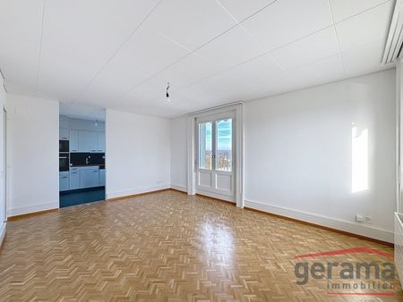 Bel Appartement 4.5 pièces au 6ème - Photo 4