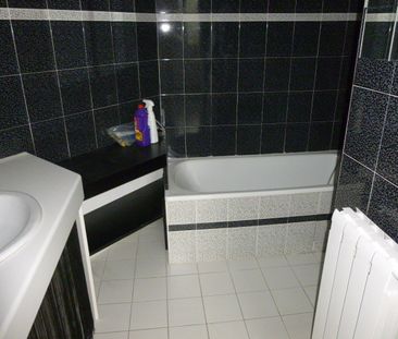 Location Appartement 1 pièce 31m² TOULOUSE 31100 - Photo 3