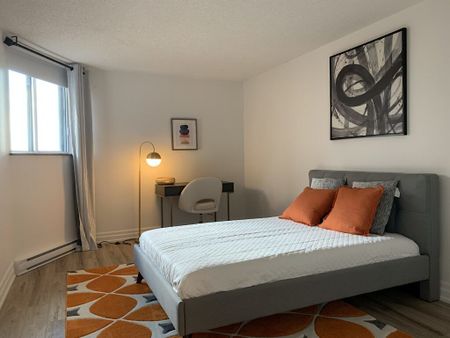 435 Albert St., Centretown, Ottawa, ON - Photo 5