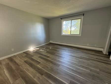 RENOVATED 1-Bedroom Apartment - SMALL PET FRIENDLY! - Photo 2