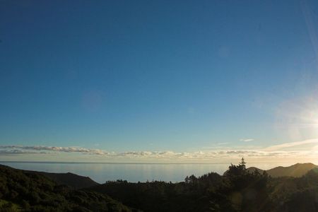 Ocean and forest view - Photo 2