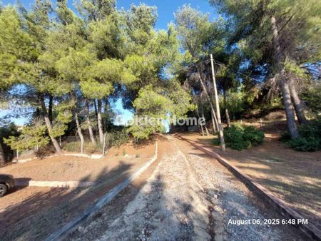 Μονοκατοικία 140 τ.μ. προς ενοικίαση - Photo 3