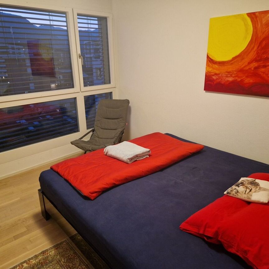 3-ROOM APARTMENT IN LOCARNO (TI), FURNISHED, TEMPORARY - Photo 1
