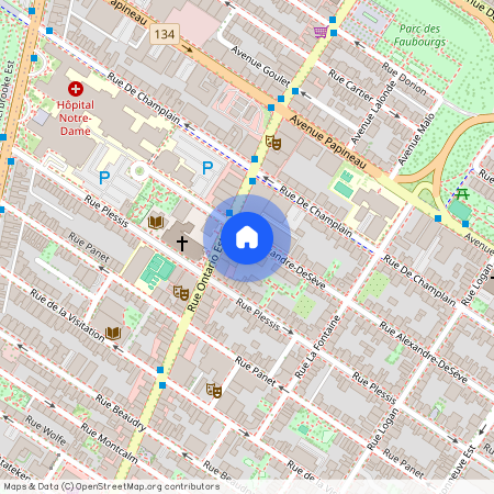 1950 Rue Alexandre-DeSève, app.9, H2L 2W3, H2L 2W3, Montréal