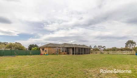 343 Cabbage Tree Road, Williamtown, NSW 2318 - Photo 3