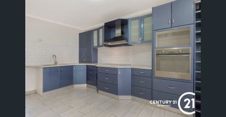 Hurry! This Won't Last Long! - Photo 4