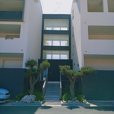 Location Appartement 2 pièces 39m² POLLESTRES 66450 - Photo 3