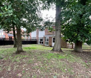 Woodlands Way - Photo 6