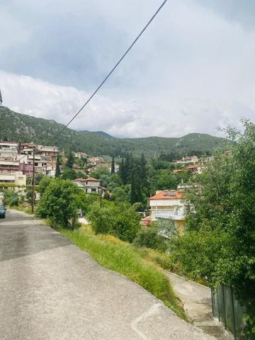 Μονοκατοικία για ενοικίαση Κέντρο (Άμφισσα) - Photo 2
