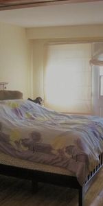 3 1/2 Accueillant dans triplex Ville Saint-Laurent - Photo 4