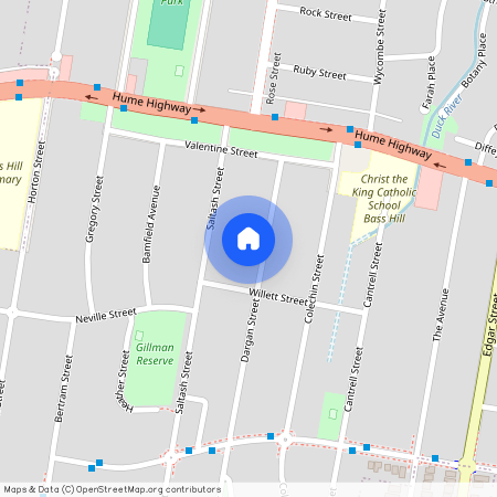 16 Dargan Street, New South Wales, NSW 2199, Yagoona
