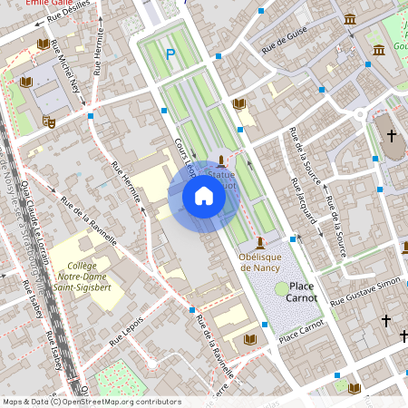 15 COURS LEOPOLD, Cours Leopold, Nancy