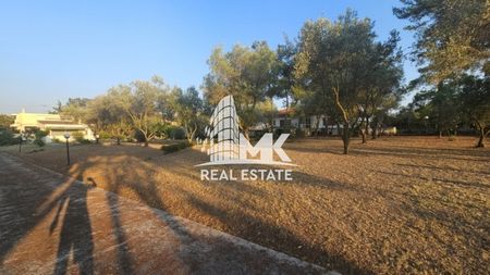 Βίλλα 405 τ.μ. προς ενοικίαση - Photo 4