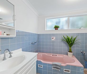 Freshly Painted and new carpets throughout - Photo 6