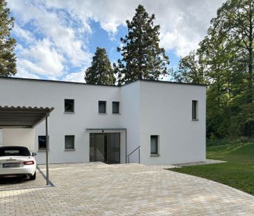 2-Zimmer-Wohnung in bester Lage am Frauenkopf! - Foto 1