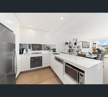310/141-143 McEvoy Street, Alexandria, NSW 2015 - Photo 2