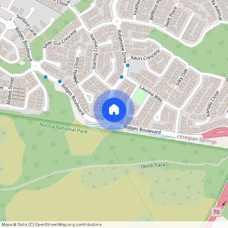 141A Ridgeview Dr, Qld 4573, Peregian Springs