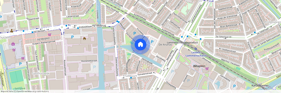 Cronestein, 2321 DB, Morellenweg, Leiden