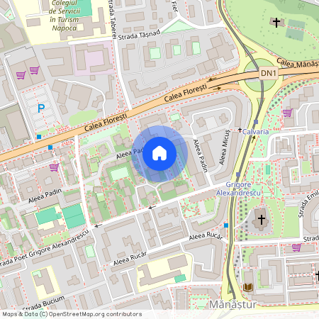 Strada Grigore Alexandrescu, Mănăștur, Cluj-Napoca, Cluj Metropolitan Area, Cluj, 400518, Romania