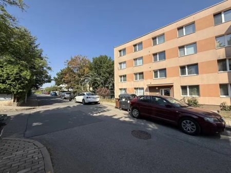 Pronájem bytu 1+1 se sklepní kójí a možností užívání zahrady u domu - Photo 5