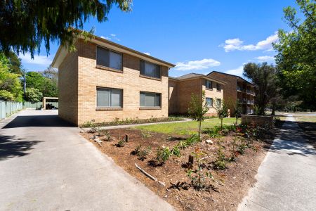 5/64 LAUNCESTON STREET, Lyons ACT 2606 - Apartment For Rent | Domain - Photo 3