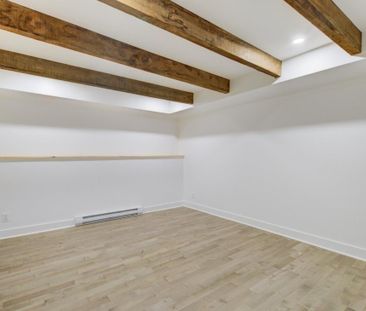Appartement à louer - Montréal (Ville-Marie) (Centre) - Photo 4