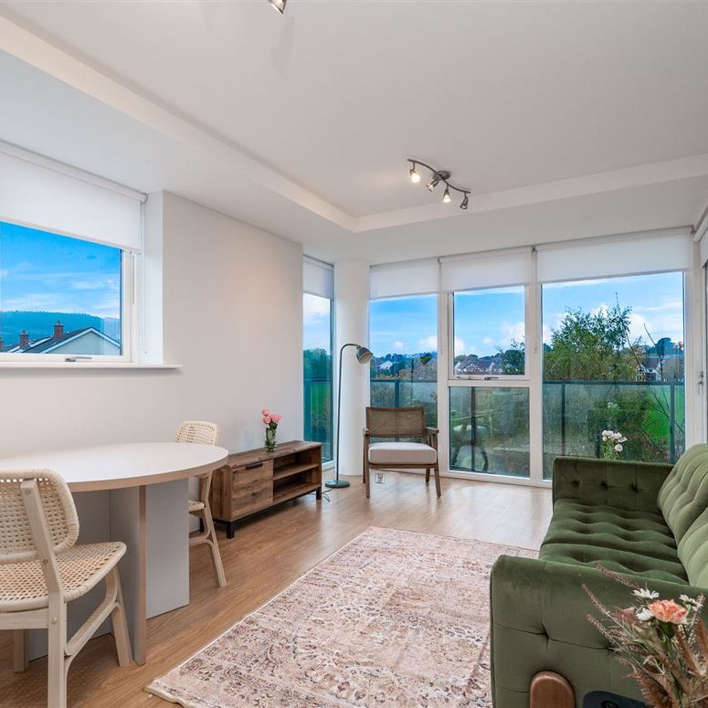 Weavers Hall Levmoss Park , Leopardstown, Dublin 18 - Photo 1