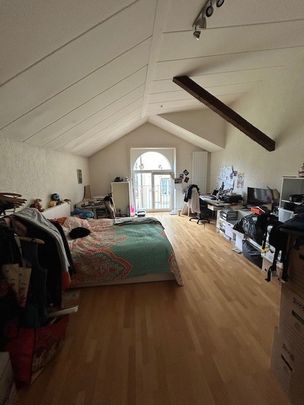 Grand appartement de 3 pièces situé au 1er étage à Colombier - Photo 1