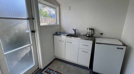 Large bedroom with kitchen in Mt Vic - Photo 4