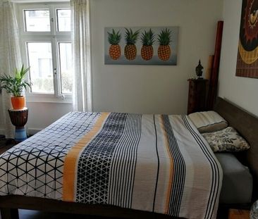 APPARTEMENT 4 PIÈCES À BÂLE - ALTSTADT/KLEINBASEL, MEUBLÉ, TEMPORAIRE - Foto 2