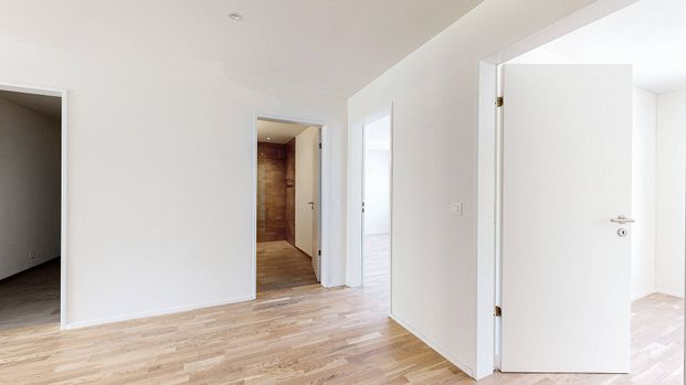 3.5 Zimmerwohnung mit Blick ins GRÜNE - Photo 1