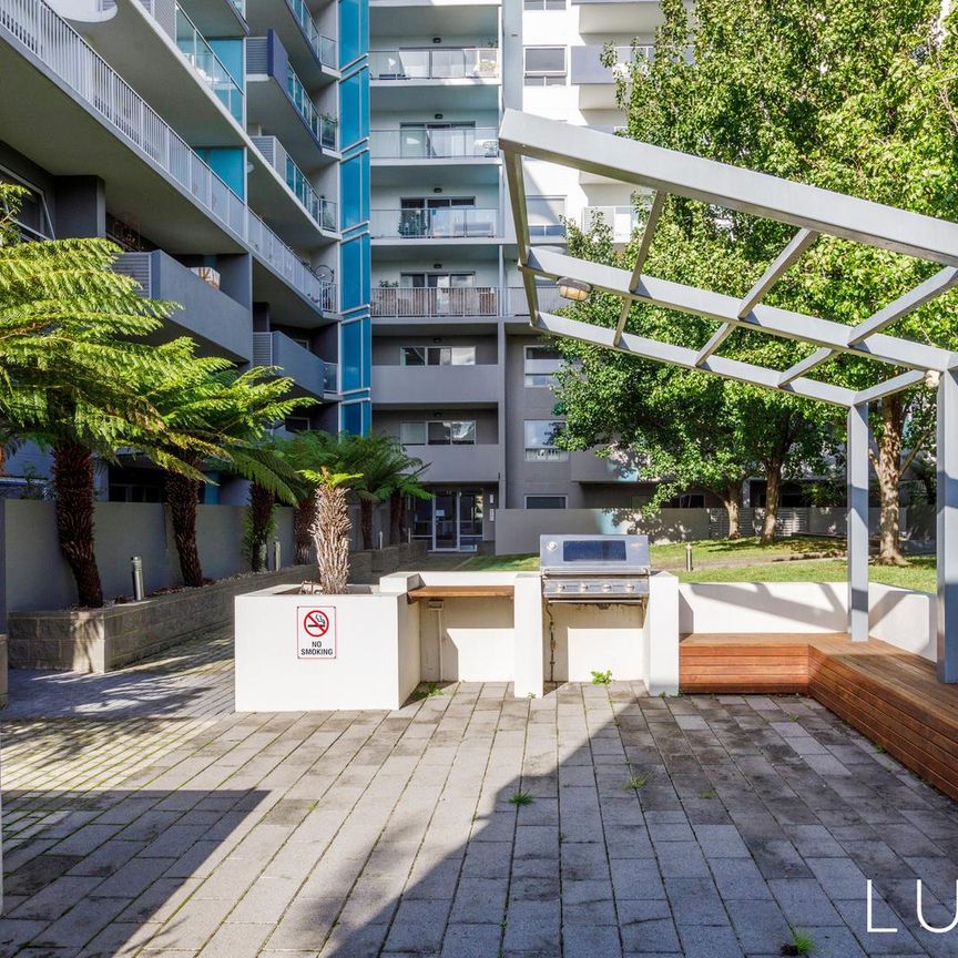 105/17 Dooring Street, Braddon ACT 2612 - Apartment For Rent | Domain - Photo 1