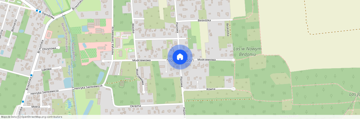 ul. Modrzewiowa, Nowy Bedoń, Andrespol, łódzki wschodni, łódzkie