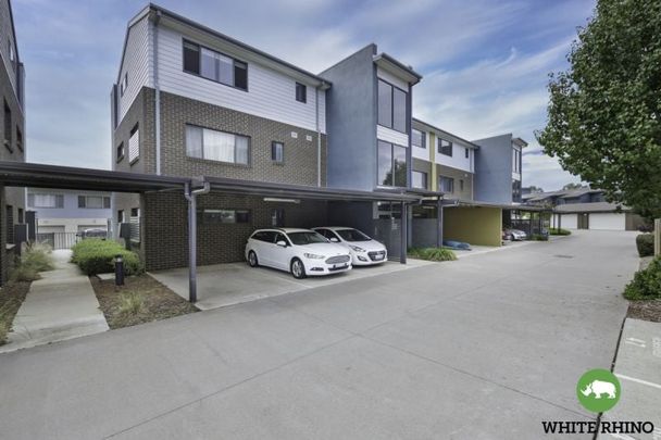 77/20 Fairhall Street, Coombs - Photo 1