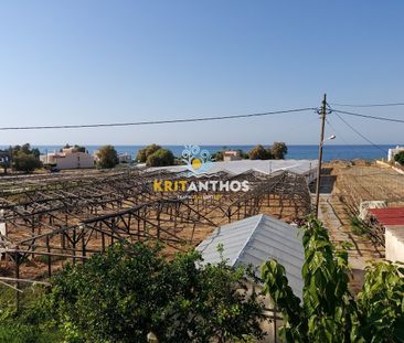 Διαμέρισμα Πηγιανός κάμπος - Αρκάδι - Φωτογραφία 5