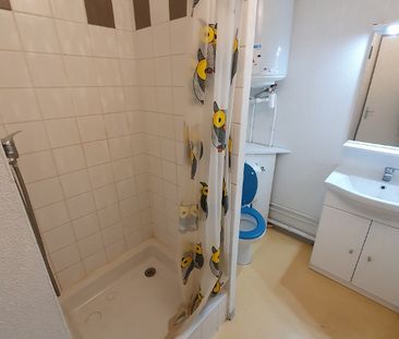 Location Appartement 1 pièce 21m² - Photo 4