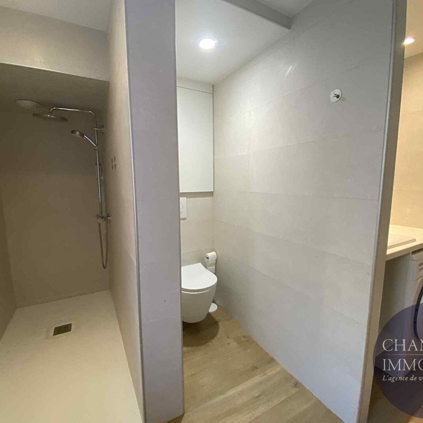 Appartement entièrement meublé à Cour Cheverny 41 m2 - Photo 1