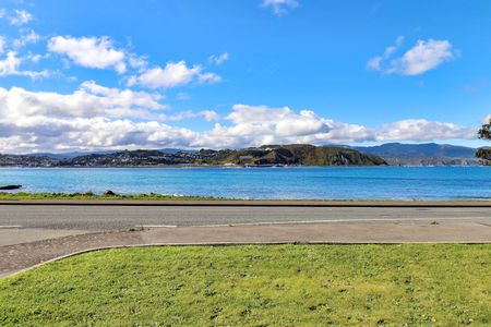 Beachside Living in Lyall Bay - Photo 2